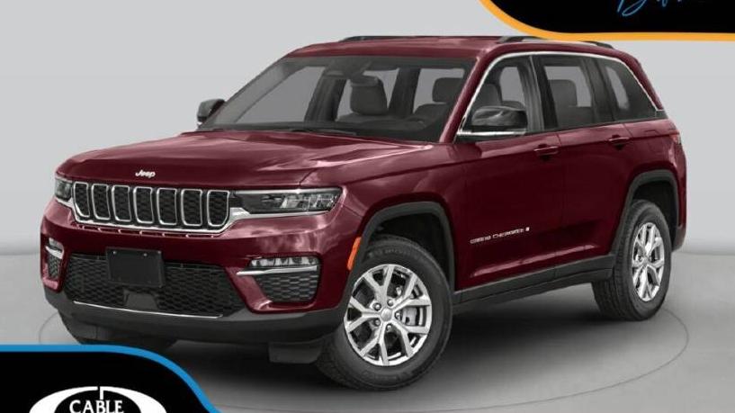 JEEP GRAND CHEROKEE 2022 1C4RJHDG8N8603166 image